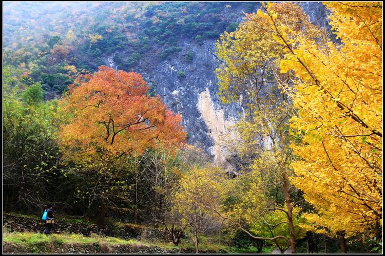 2010111404.jpg