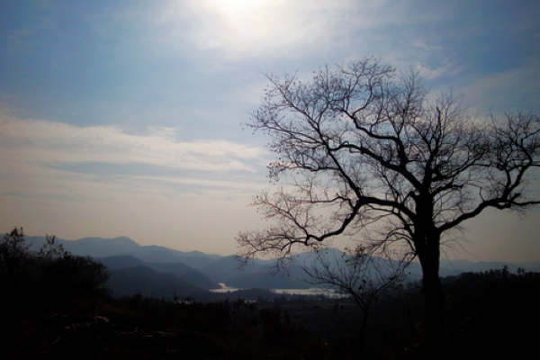 dsc01449.jpg