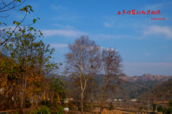 dsc01506000.jpg