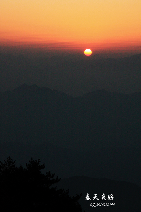 img_8399.jpg