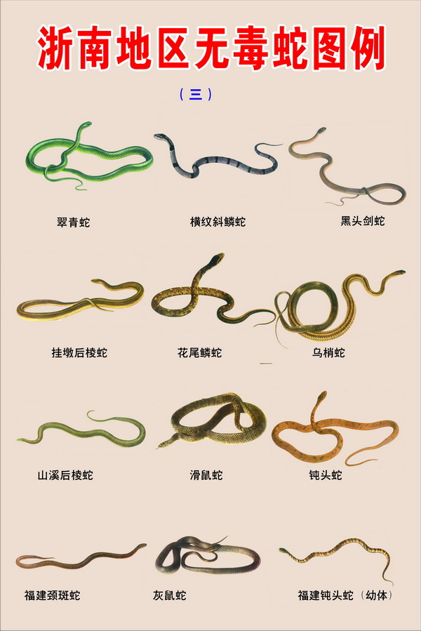޶ͼ3.jpg