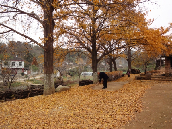 dsc02889.jpg