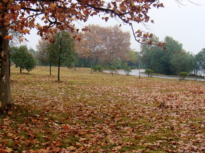 Ƭ 2101_conew1.jpg