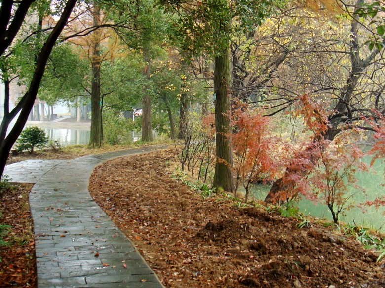 Ƭ 2106_conew1.jpg