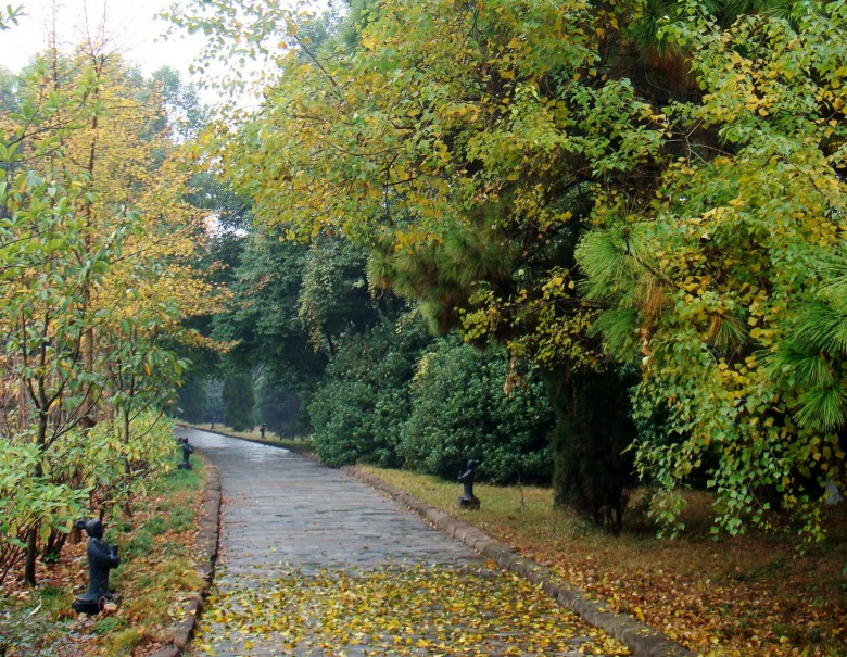 Ƭ 2114_conew1.jpg