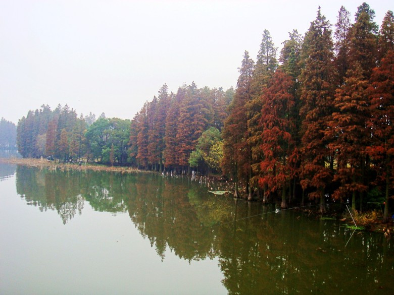 Ƭ 2115_conew1.jpg