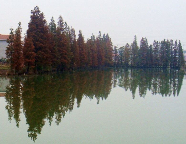 Ƭ 2118_conew1.jpg