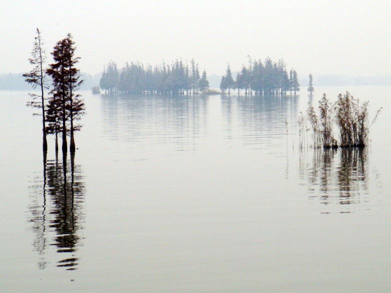 Ƭ 2119_conew1.jpg