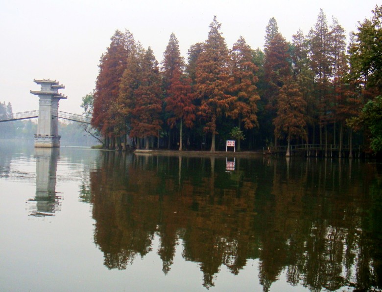 Ƭ 2103_conew1.jpg