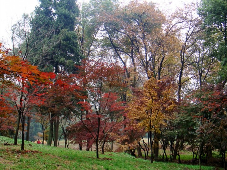 Ƭ 2127_conew1.jpg