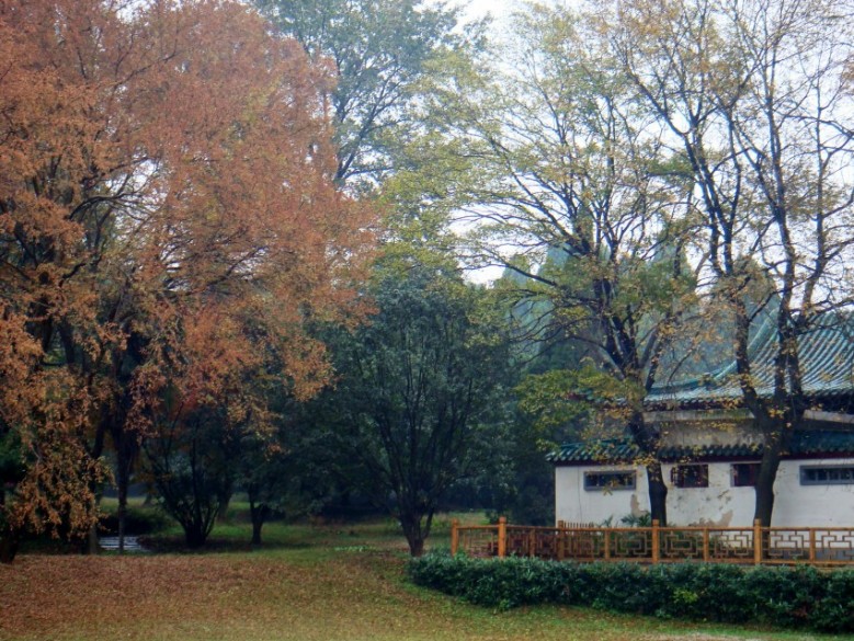 Ƭ 2128_conew1.jpg