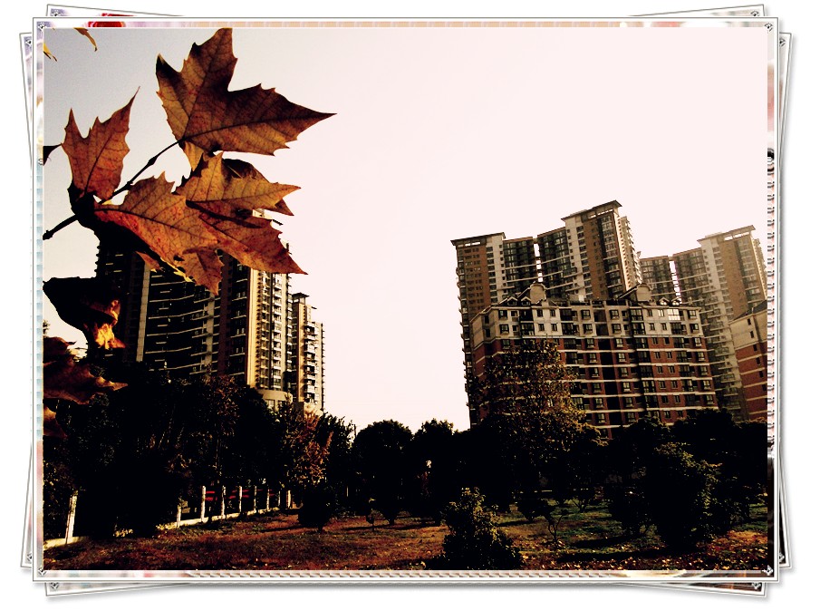 dsc07618_.jpg