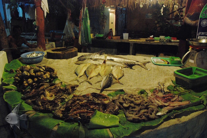 03142102.jpg