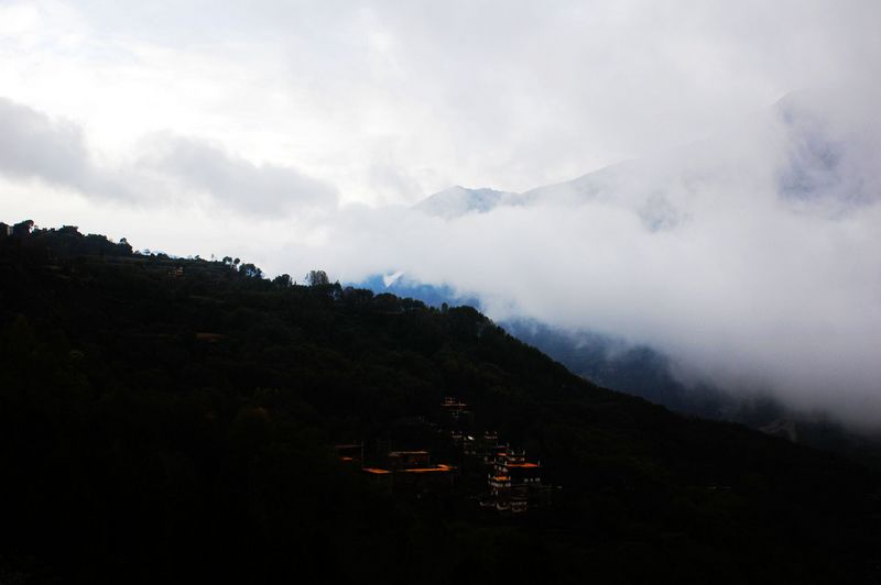 dsc_4309.jpg