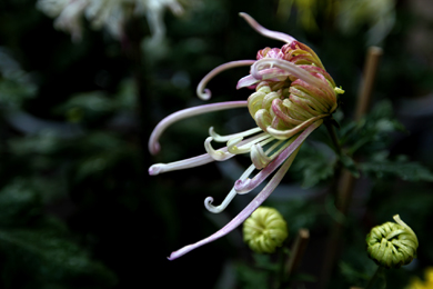 Ƭ 199-1.jpg