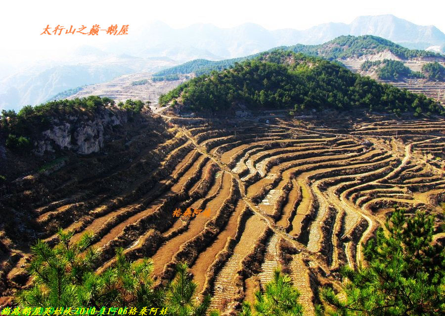 阿娃 597.jpg