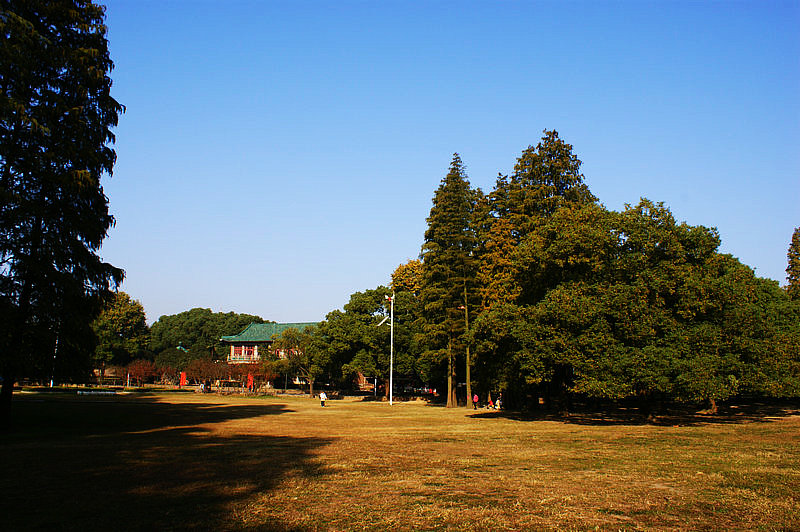 dsc03334.jpg
