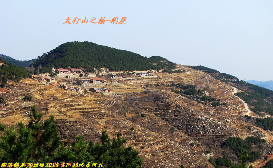 阿娃 599.jpg