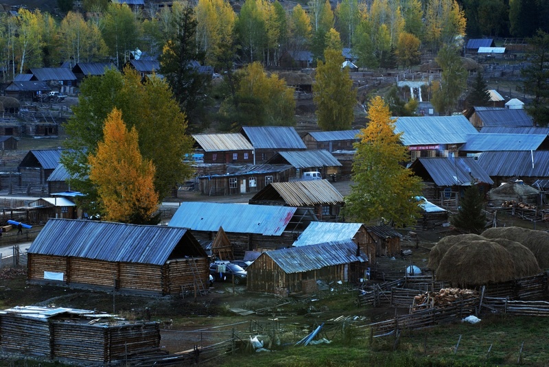 neo_img_dsc_0220092.jpg