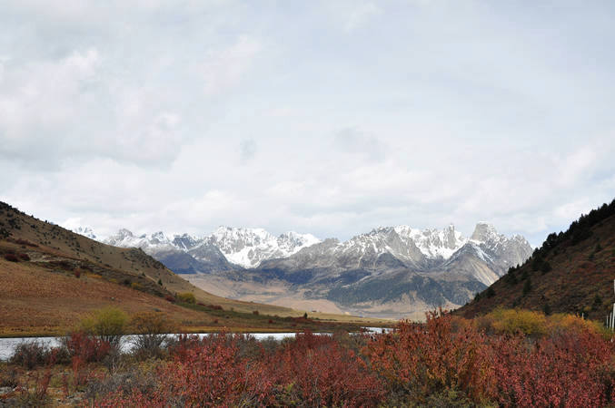 dsc_0173.jpg