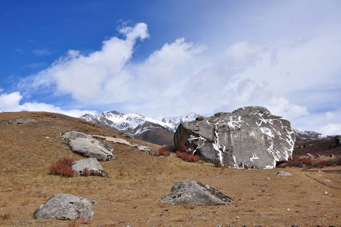dsc_0145.jpg