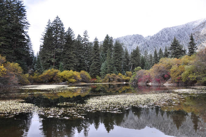 dsc_0005.jpg