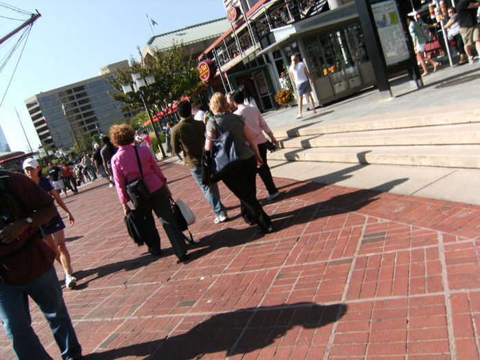 dscf1572.jpg