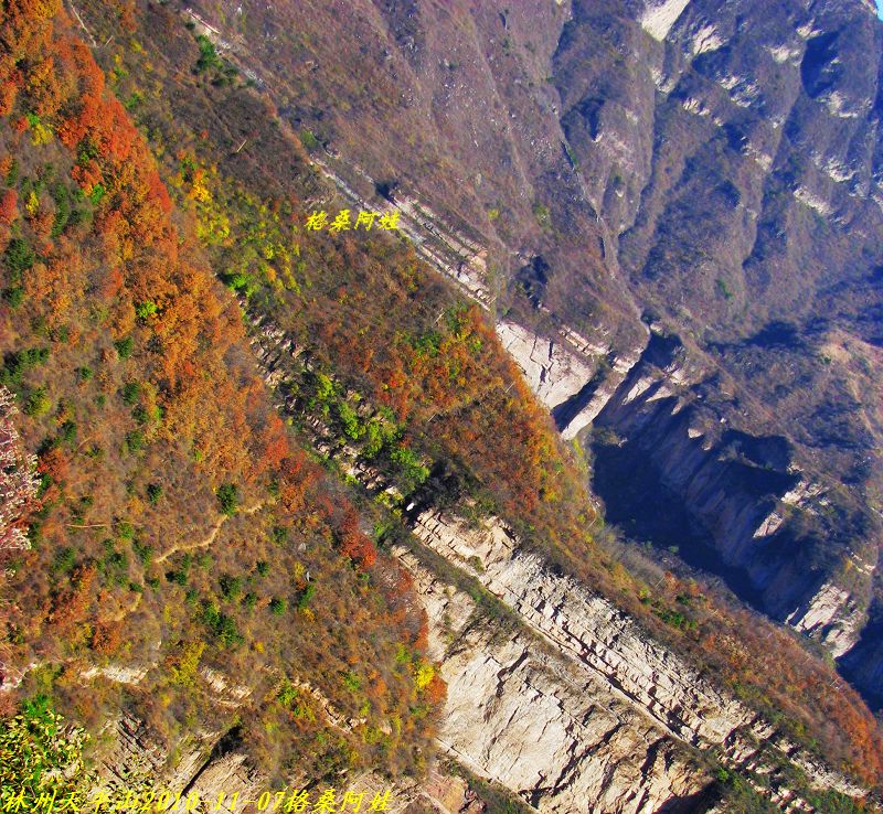  1186-11-1.jpg