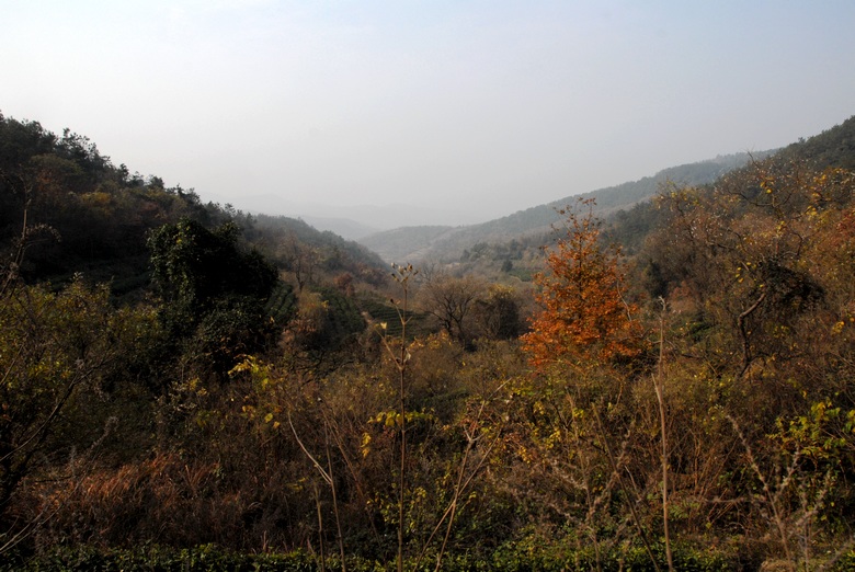 dsc_0013.jpg