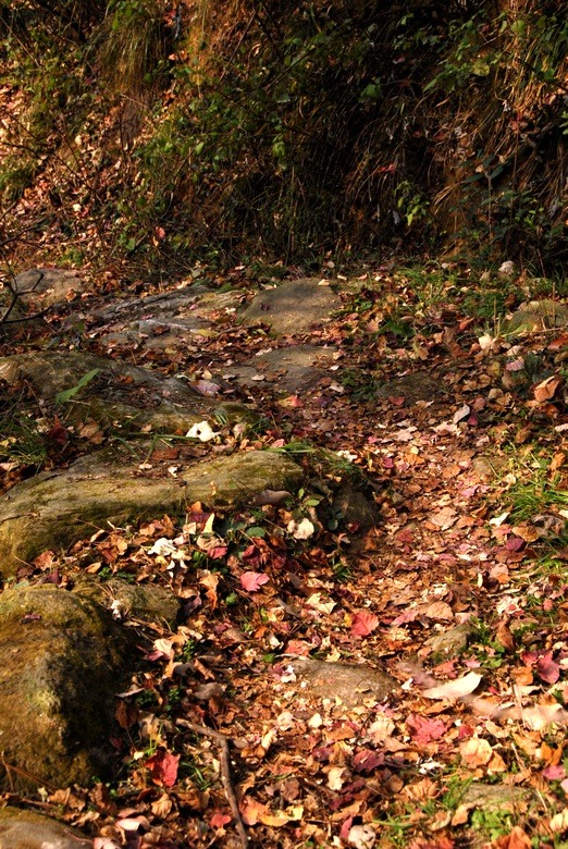 dsc_0016.jpg