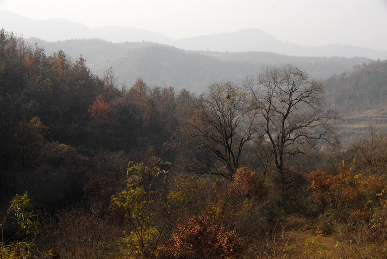 dsc_0017.jpg