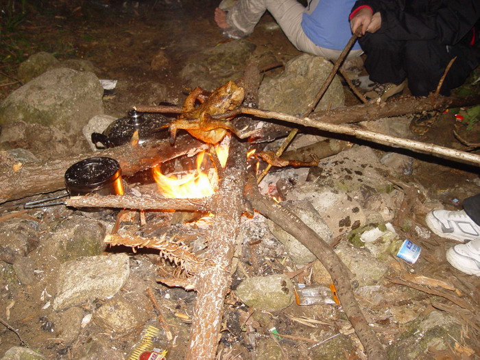 dsc08512.jpg