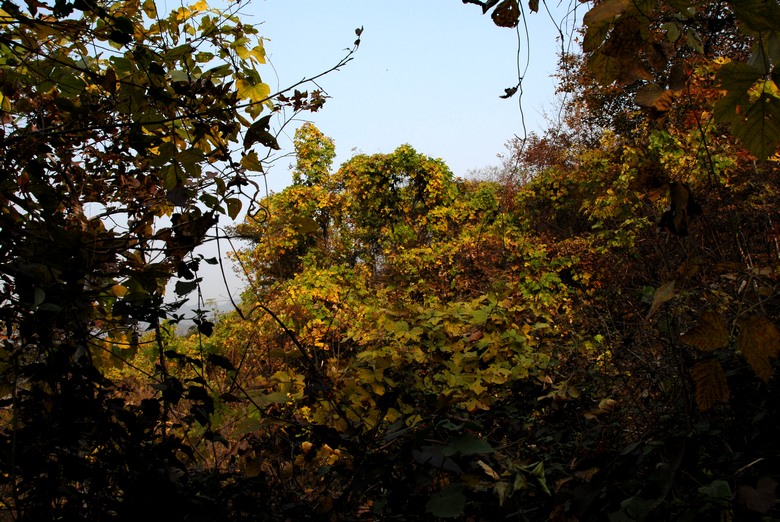 dsc_0071.jpg