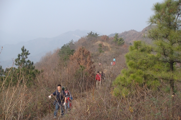 neo_img_dsc08826.jpg