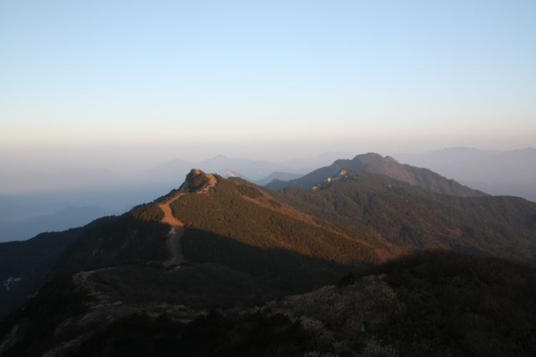 img_0490.jpg