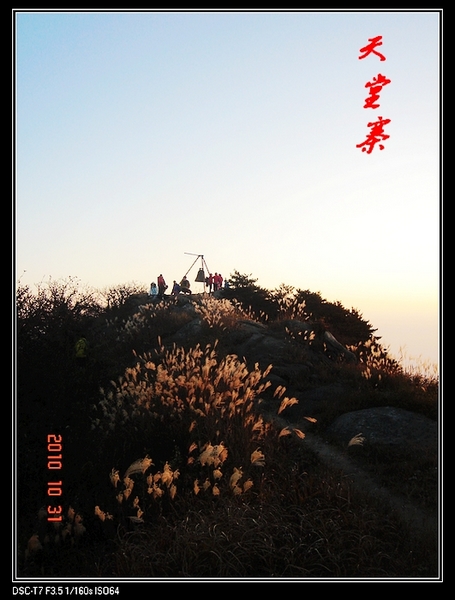 dsc02310-1.jpg