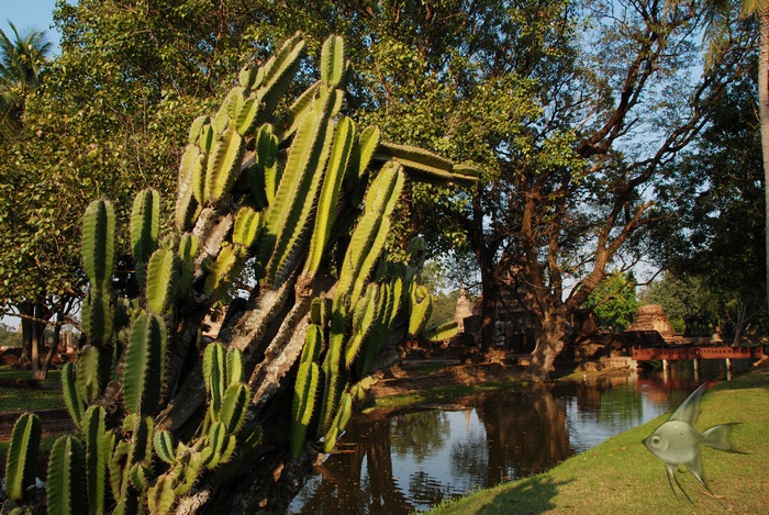 02091637.jpg
