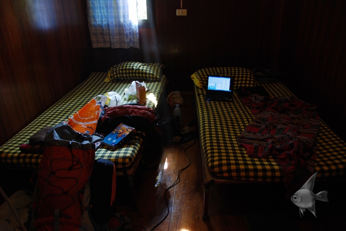 02110936.jpg