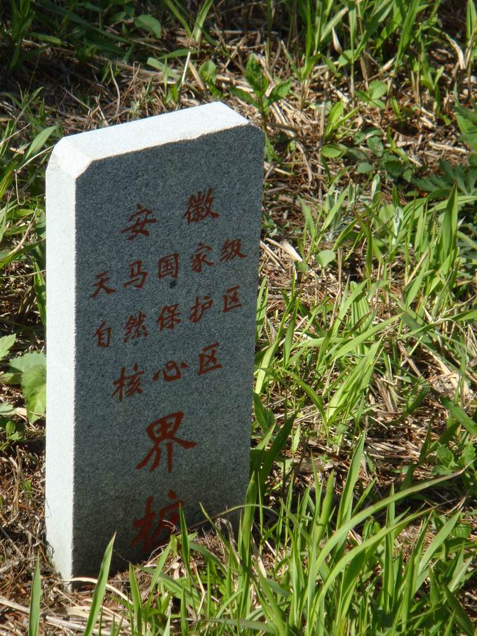 С dsc00728.jpg