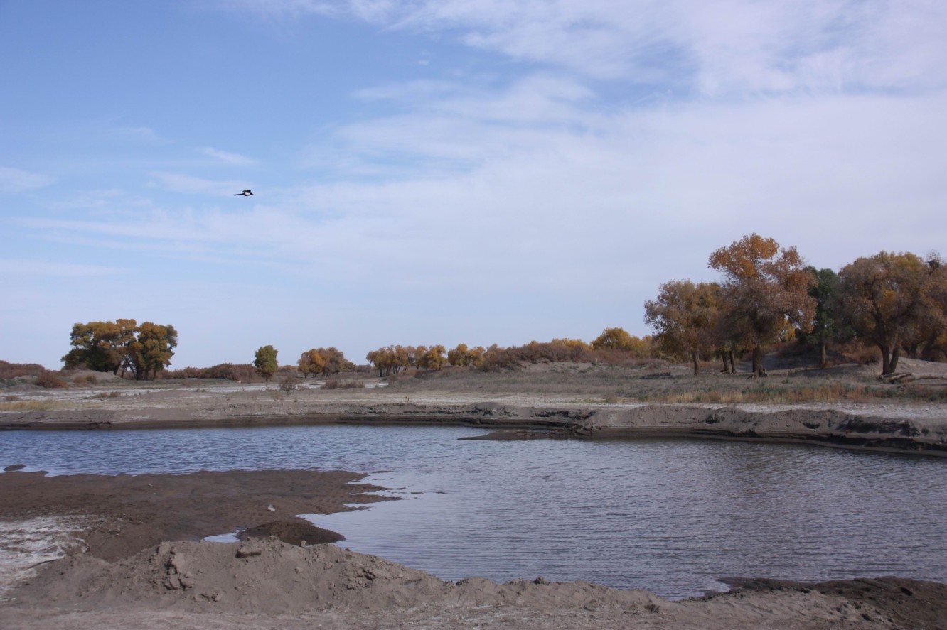 δ0-09980.jpg