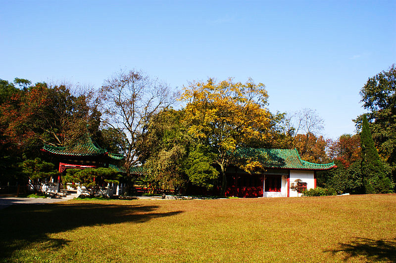 dsc03078.jpg