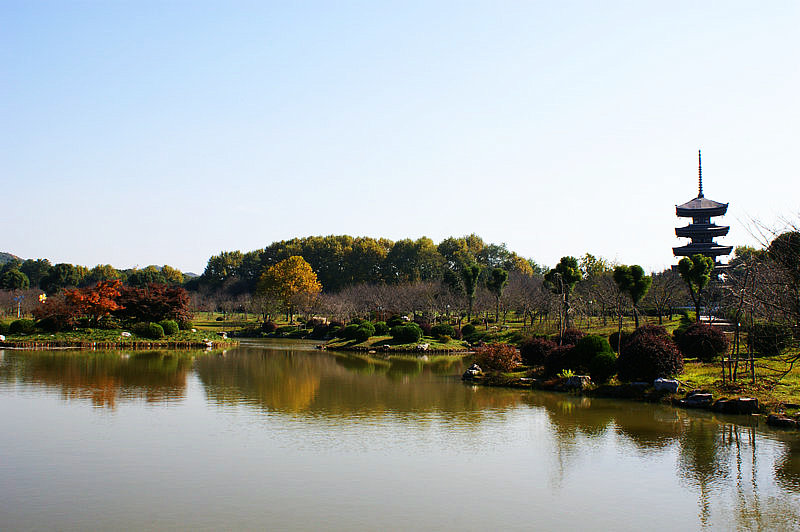 dsc03093.jpg