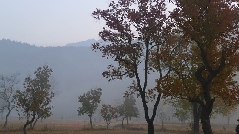 p1000156.jpg