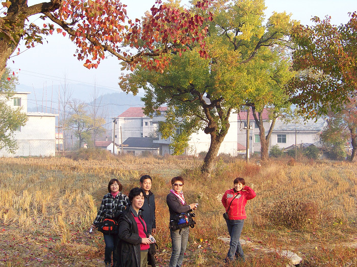 20101106cʺӺҶ (23).jpg