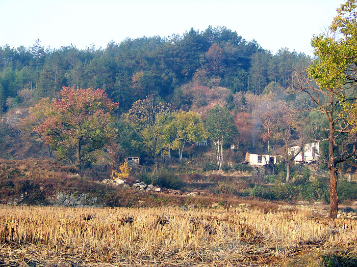 20101106cʺӺҶ (30).jpg