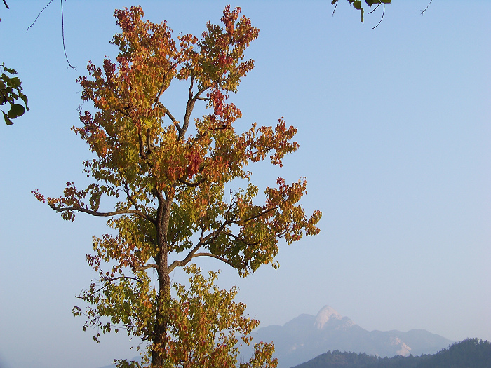 20101106cʺӺҶ (33).jpg