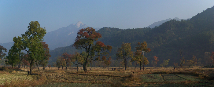 20101106eʥ (12).jpg