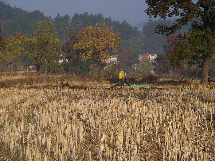 20101106eʥ (24).jpg