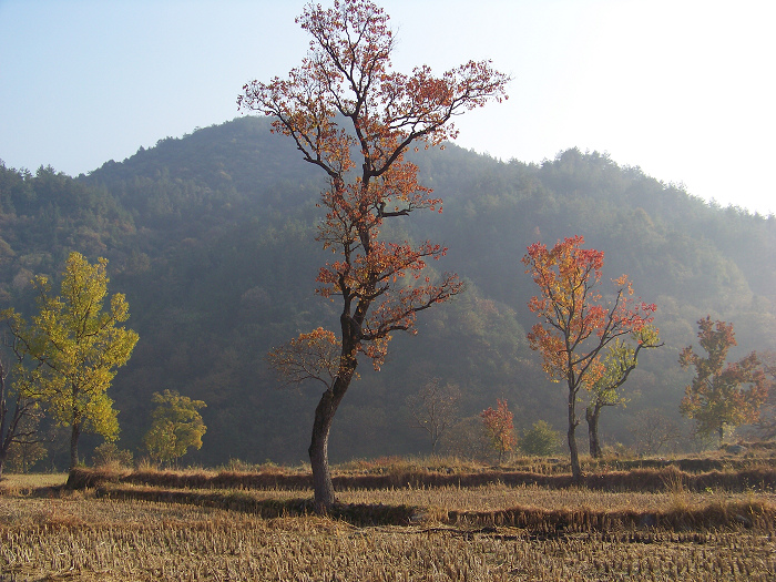 20101106eʥ (27).jpg