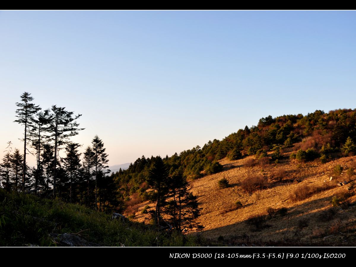 dsc_0029.jpg
